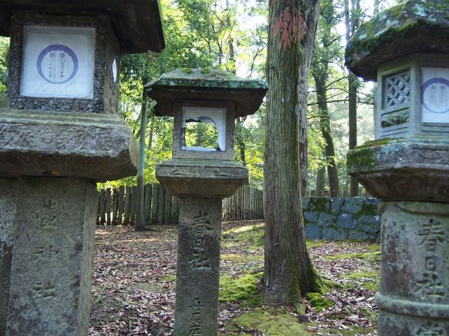 真ん中にある燈籠を見てくだいさい、分かります？