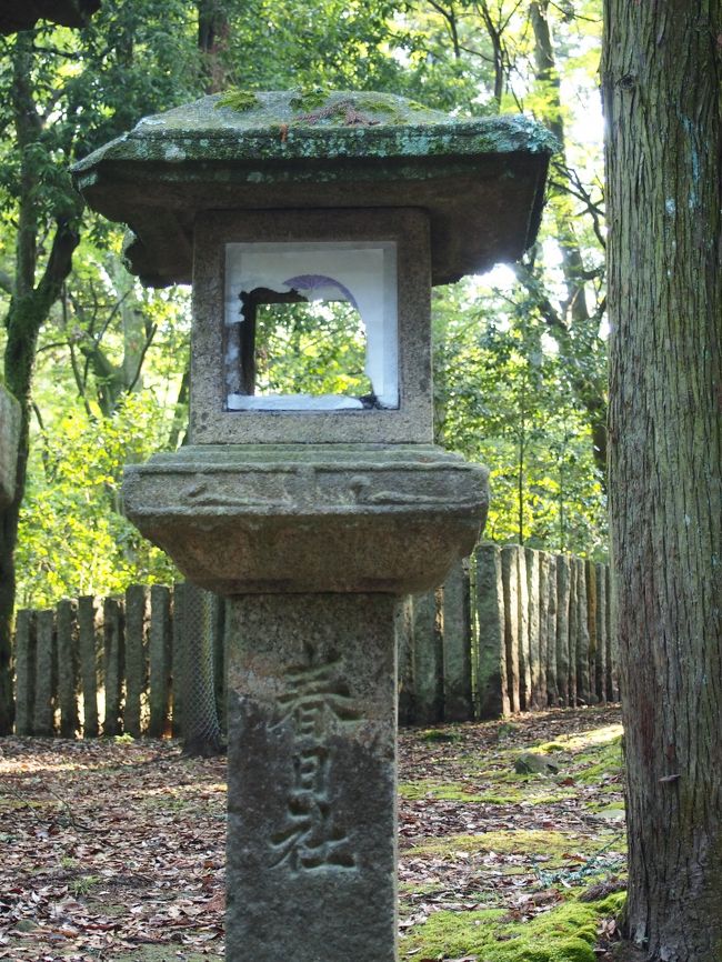 実はこの１体の燈籠のみ、蛇の彫刻がされているのです！<br />