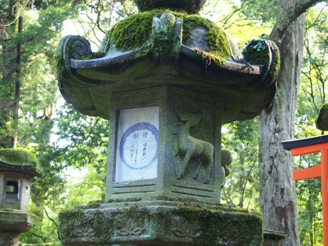 鹿の彫刻が入った燈籠。<br /><br />春日大社の主祭神である武甕槌命と経津主命はそれぞれ茨城の鹿島神宮、千葉の香取神宮の主祭神です。<br /><br />ここにお社を築いた時に、力の強い神様をお呼びしなければ行けないということで、呼び寄せたのがこの二神。<br /><br />そしてその神様たちがこちらにいらっしゃる時に乗ってきたのが白鹿であり、その子孫が春日大社にいる鹿たちなのだそう。<br /><br />５月に香取神宮に行った時にも同じような燈籠があり、「なぜ香取神宮で鹿？？」と疑問に思っていましたが、ここで謎が解明されました！<br /><br />奥深いな〜