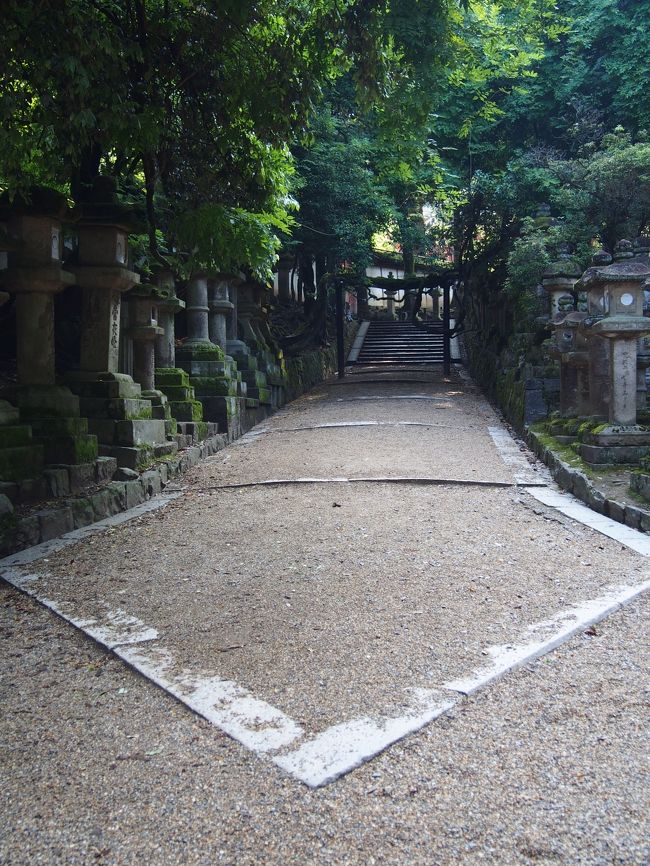 こちら！<br /><br />なんだか不思議な模様？が。<br /><br />本来　参道の真ん中は神様が歩く道で、一般の人は端を歩かなければいけません。