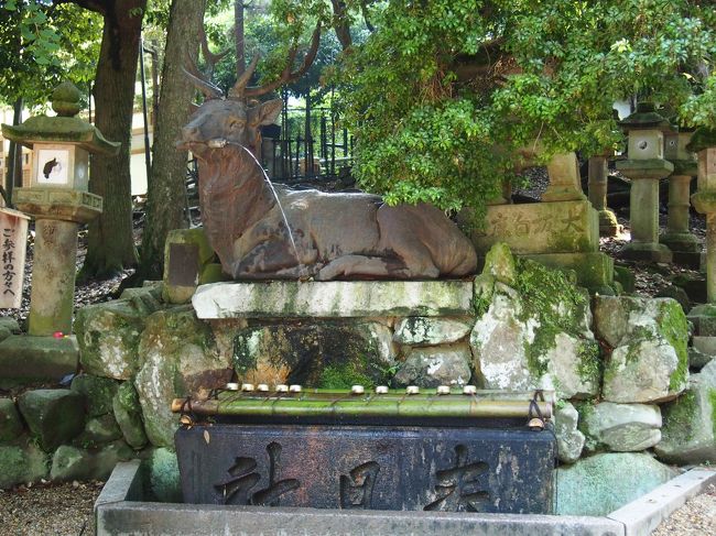 おお！<br /><br />お手水が鹿の口から！！