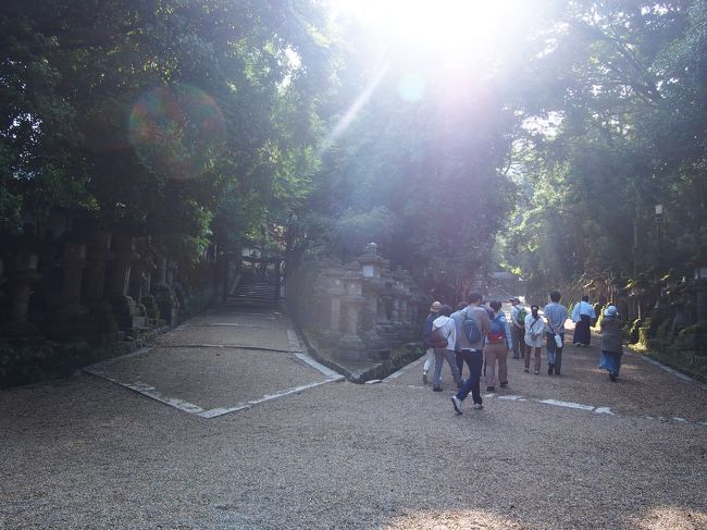 実はここ、道が二つに分かれていて、矢印模様がある道は昔は藤原氏の人以外は通れなかったのだそうです。<br /><br />今はもちろん一般の方も通っても問題ありませんが、我々一行は右側の道を進みます。