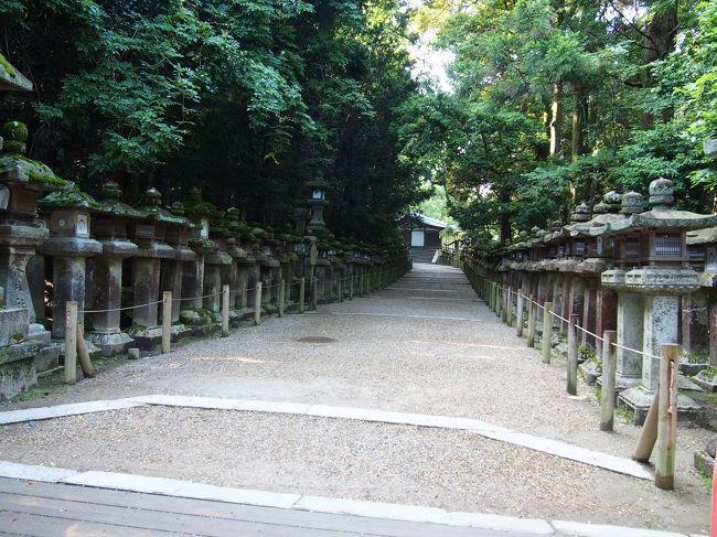 あちらに見えるのが若宮神社。<br />若宮神社までのこの通りを『御間道（おあいみち』と呼びます。<br /><br />ここから若宮の神様が御旅所までの短い距離を旅されるのか・・・