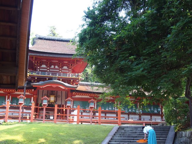 奥に見えるのが中門。<br />重要文化財です。<br /><br />更にその奥に本殿が４つ並んで建っているのだそう。