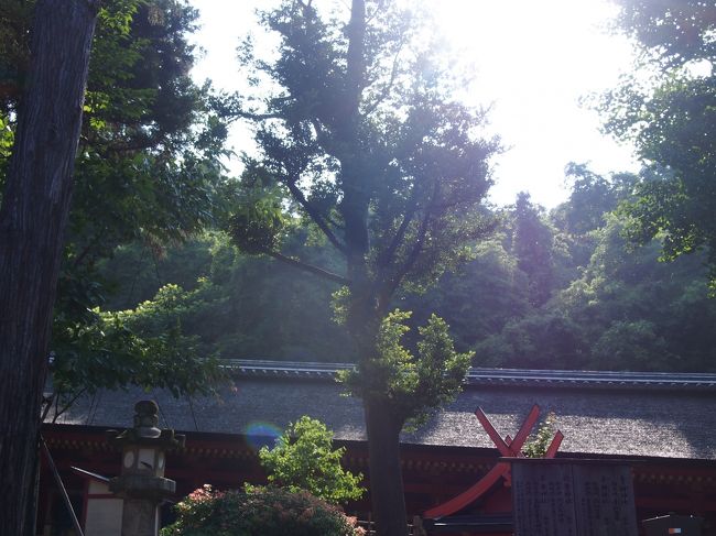 本殿脇にある山が、阿倍仲麻呂の歌に出てきた三笠山。