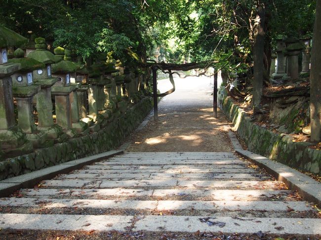 早朝参拝、１時間弱と伺っていましたが、この日は盛り上がったのか１時間半かかりました。<br /><br />現在８時。<br /><br />今日も計画がいっぱいなので先を急ぐ私たち。<br /><br />帰りは藤原氏しか通れなかった参道を歩いてみました。