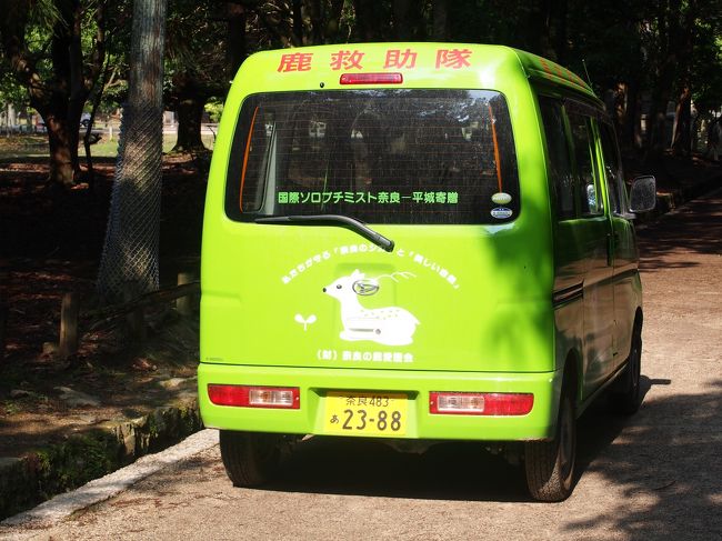 鹿救助隊の車が止まっていました。<br /><br />春日大社の鹿は管理されているものではありませんが、怪我をした鹿などはこちらの愛護団体が保護して面倒を見てくれているんだそう。<br /><br />小鹿の公開もこちらの団体がされています。<br /><br />この時は鹿の保護に来ていたのではなく、飛火野で学生相手に鹿の説明をしているようでした。