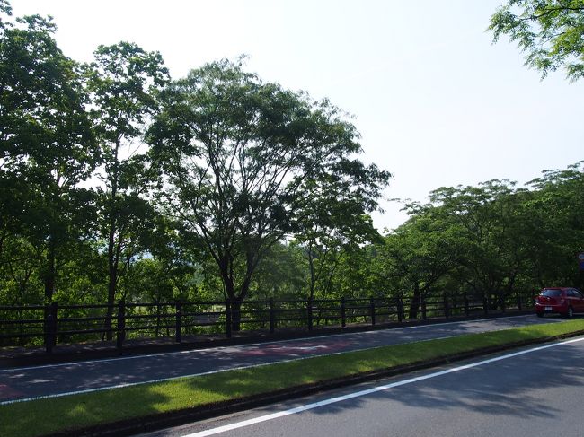 春日大社の早朝参拝は土日祝日、無料で行われています。<br /><br />神主さんの説明を聞かないで訪れても「ふ〜ん」で終わってしまうでしょう。（私は10年ほど前に家族旅行で訪れたはずなのに一切憶えていなかった！）<br /><br />朝早いですが、ぜひ参加されることをお薦めしますよ〜<br />↓早朝参拝公式サイト<br />http://www.kasugataisha.or.jp/shun_joho/000394.html