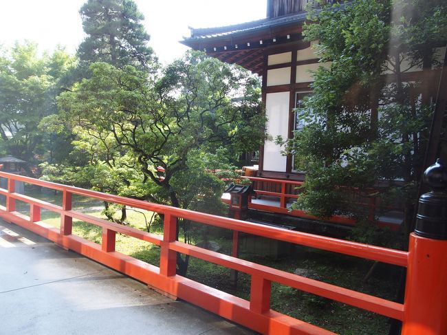 窓からの景色。