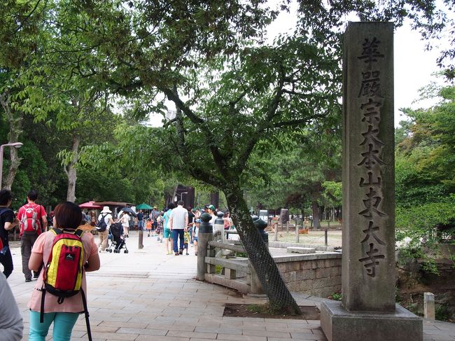 犬並みの鹿の落し物に注意しつつ歩きます。