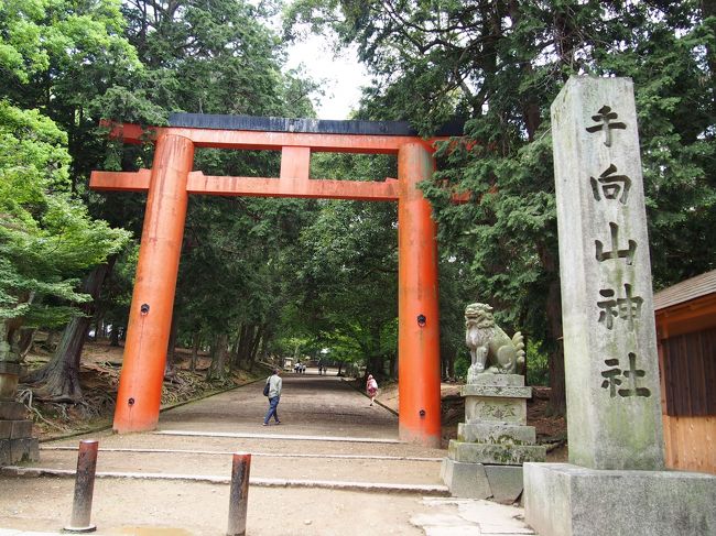 手向山神社の鳥居をくぐって・・・
