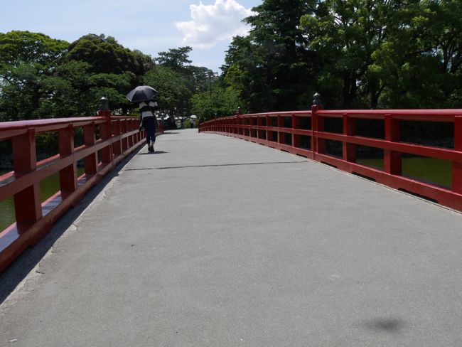 天気が良く日差しも強く、かなり暑くなってきました。