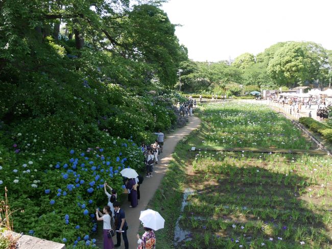 それほど広くない場所なので40分ほどいて、次に向かいます。