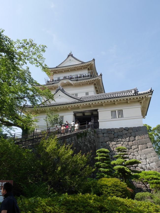 オダギリジョー！違う違う、小田原城！