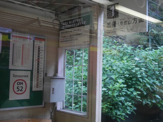 小田原から電車に乗り箱根湯本へ。<br /><br />箱根湯本から箱根登山鉄道に乗りました。