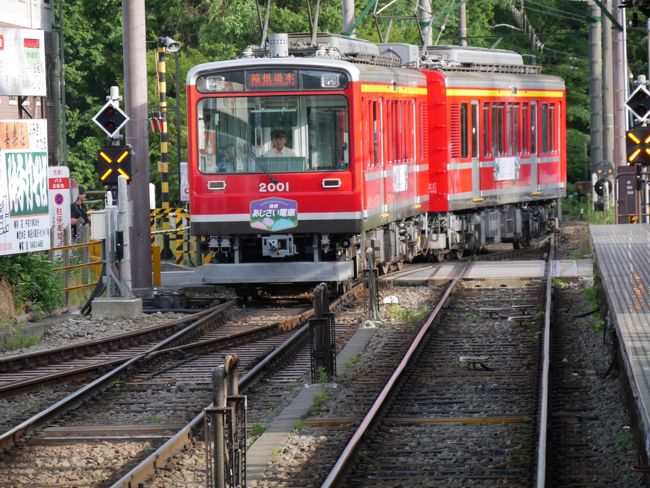 40分ほどで強羅駅に到着。<br /><br />強羅で降りても何もなさそうなので、次の電車に乗り引き返す事にしました。