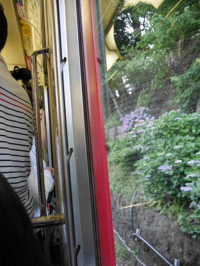 犯人はこのボーダーシャツを着た若者。<br /><br />横縞を着てるけど、邪（よこしま）な人ではないと思います。