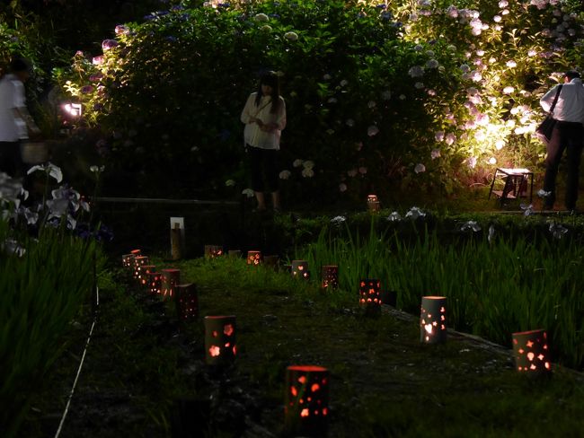 こちらにも灯ろうが並んでいます。<br /><br />