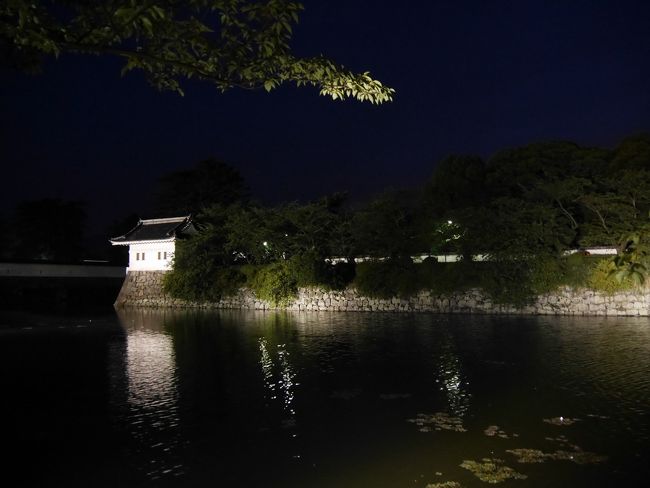 お堀の水はあまり綺麗ではありませんでしたが、夜になるとお堀も幻想的な感じになります。<br /><br />いつもは色んな所に行こうとして時間に追われることが多いですが、たまには時間に追われないこんな旅もいいなと感じました。<br /><br />ご訪問ありがとうございました。