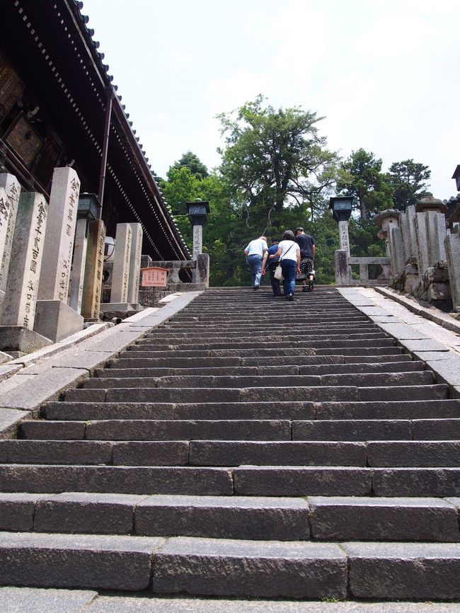 まだあるの〜？！<br /><br />二月堂までの階段は結構キツイです。。