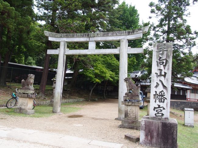 わらびもちをペロッと平らげたら手向山（たむけやま）八幡宮に向かいます。