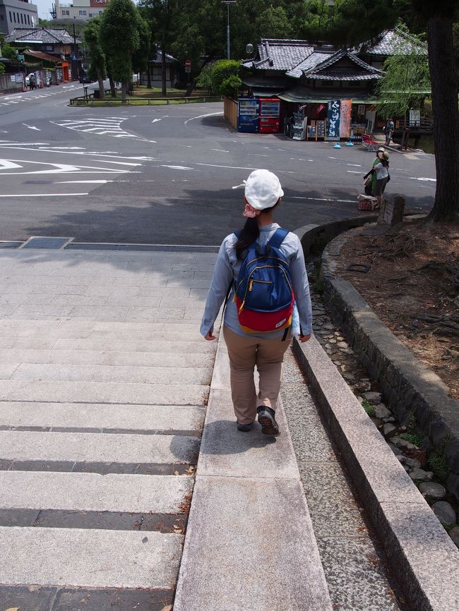 猿沢池に向かう階段を下る・・・のですが、昨日身体を酷使したツケ（要は筋肉痛）が回ってきて、階段の上り下りが辛くて・・・<br /><br />階段の端の坂を歩く奇妙な二人。