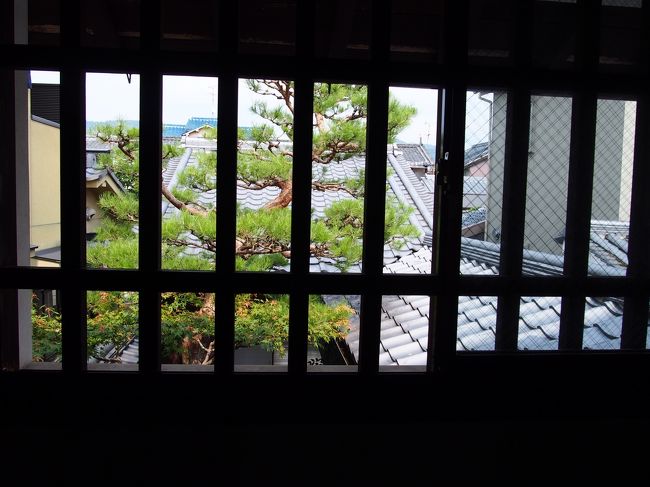 中庭を見下ろしてみる。