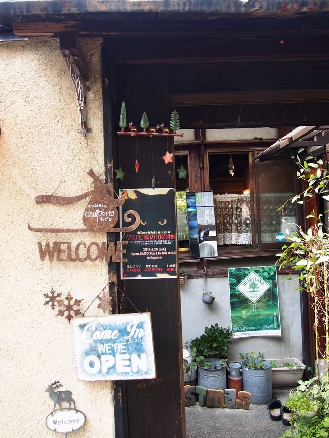 そーっとお店を覗いてみる。<br /><br />うん、良い感じ！