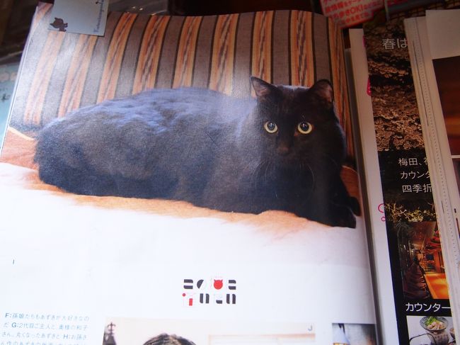 そしてこのお店の「社長」。<br /><br />この日は残念ながら会えませんでしたが、店主さんと雑誌に載ったりしている「有名人」のようでした。<br /><br />因みに店名チャポロは店主さんが飼っていた犬、ウサギ、猫の名前から一文字ずつ取ったものなんだとか。