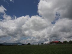 赤い屋根の長門牧場。広い空が気持ち良いです。梅雨時期なので、ドライブ中には、雨にも降られましたが、牧場周辺は雨が降らなかったようで、ラッキーでした。