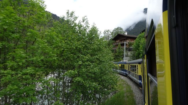 インターラーケンオストで　ベルナーオーバーランド鉄道に乗りかえグリンデルワルトを目指します<br /><br />インターラーケンオストの駅でスーケースを預けたため　こちらでもギリギリの時間　走って飛び乗りました<br /><br />乗車の前に何処に行くか車両の前で聞かれたのは、途中ツヴァイリッチネンで切り離されて行き先が異なるらしい。<br />事前学習していたつもりだったのですが、すっかりわすれていました。<br />