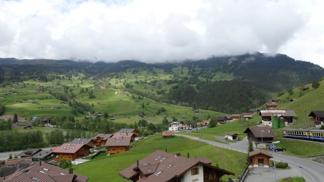 可愛らしい風景が見えてきました