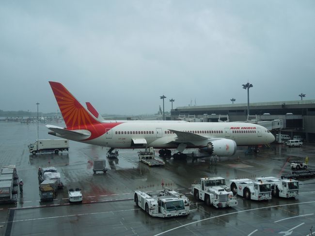 1時間30分程前に空港到着。<br />ウェブチェックインもしていたので、そのまま手荷物検査場へ。<br /><br />既に３０分ディレイの文字が！！！<br /><br />暇なので、フラフラしているとエアインディアの７８７発見。<br />海外に行くときには７８７だと湿度が違う様なので、乗って行ってみたいものです。