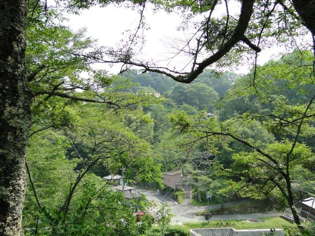 小高いところにあるので見晴は良いかも