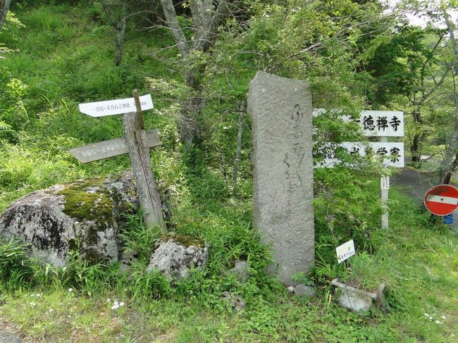 芳徳禅寺に着きました、神護山芳徳禅寺は臨済宗大徳寺は寺で、寛永15年(1638)柳生但馬守宗矩(むねのり)が、亡父石舟斎宗厳(むねよし)の供養のため創建したもので、開山は宗矩と親交のあった沢庵和尚、のち柳生氏代々の菩提所となった(江戸は下谷広徳寺)。(パンフレットより)<br /><br />沢庵和尚はタクアンの創始者かと思っていましたが、関西のたくわえ漬を徳川家光に供したところいたく気に入り、「たくわえ漬にあらず沢庵漬」と言ったとかの逸話があり真偽は定かでないという事らしいですね。どうりで、タクアンは売っていませんでした。