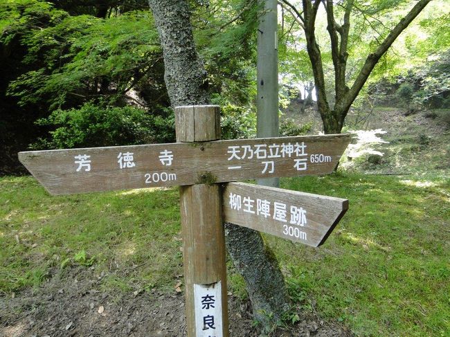 天乃石立神社に向かいます、650ｍ歩きます