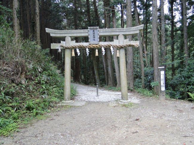 400ｍほどでやっと鳥居が見えました
