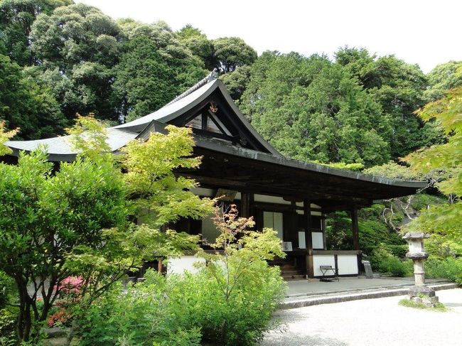 本堂(阿弥陀堂)本尊阿弥陀如来坐像が祀られています。