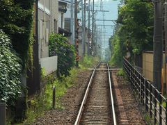 和田塚駅から江ノ電へ乗り、極楽寺駅へ。

江ノ電の沿線には紫陽花が咲いて、ゴトゴト揺れる電車の雰囲気も良い。

