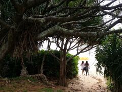 車に乗り込んだら... いきなりの豪雨  （涙〜）
瀬底島に行こうと思っていたのですが....断念。。雨の万座ビーチへ
相合傘でビーチに向かう母娘　　【撮影：妹】