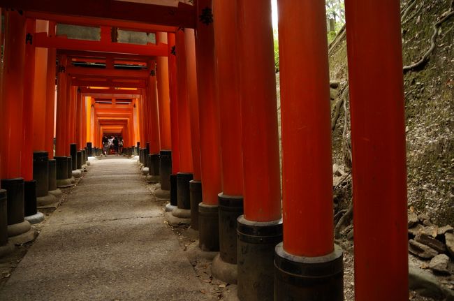 千本鳥居を抜けて<br /><br />三ツ辻まで来ました<br /><br />鳥居ってどんどん大きくなっていくのね。<br /><br />本当は一ノ峰まで行きたかったけど<br />雨も降って来たので<br /><br />