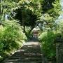 6月の花と鳥を探して、茨城プチ旅行