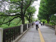 靖国通りの九段坂を登って北の丸公園へ。