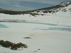 凍っている鶴ヶ池が見えてきた。