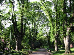 フィッツロイ庭園（Fitzroy Gardens）

イギリス国旗・ユニオンジャックを模したというユニークなデザインの庭園。敷地内にはイギリスから移築した「キャプテン・クックの家」もあります。写真はないけど、初めて来たとき見て以来、13年ぶりでした！