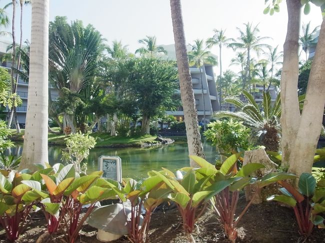 自然がいっぱいで、鳥さんたちの憩いの場になっているみたい。