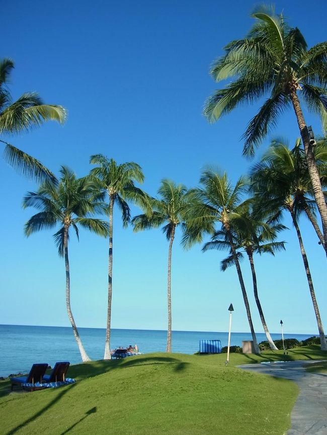 お天気に恵まれました。空が青くて、澄んでいる。