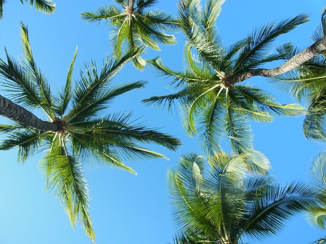 こんな景色が！　ここ、風が通って、ものすごく心地よかったです。