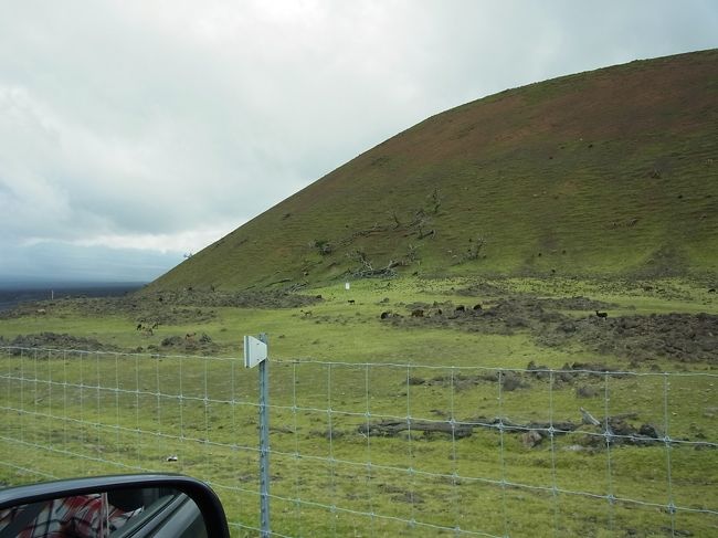 メインイベント、キラウエア火山へ出発〜！　ほぼ一本道を走ります。道中には丘の斜面にヤギ？