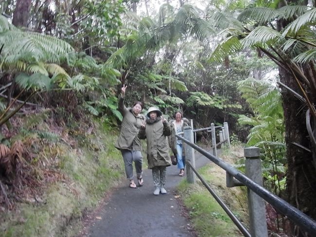 1959年にキラウエア･イキが噴火した時に形成された溶岩トンネル「サーストン・ラバチューブ」を歩きます。このあたりは気温が低いため、ガイドさんがモコモコのついたコートを貸してくれました。最初は「コレ、暑いんじゃ…？」と思ったんですが、なんのなんの、これくらいでないと寒くて大変です。フリーで行かれる方は、ダウンジャケット必須です。